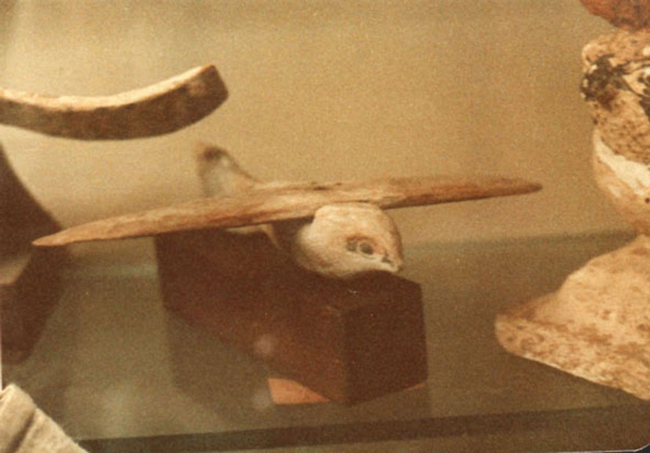The Saqqara Bird, a small carved and painted wooden bird artifact from ancient Egypt, seen from the front.