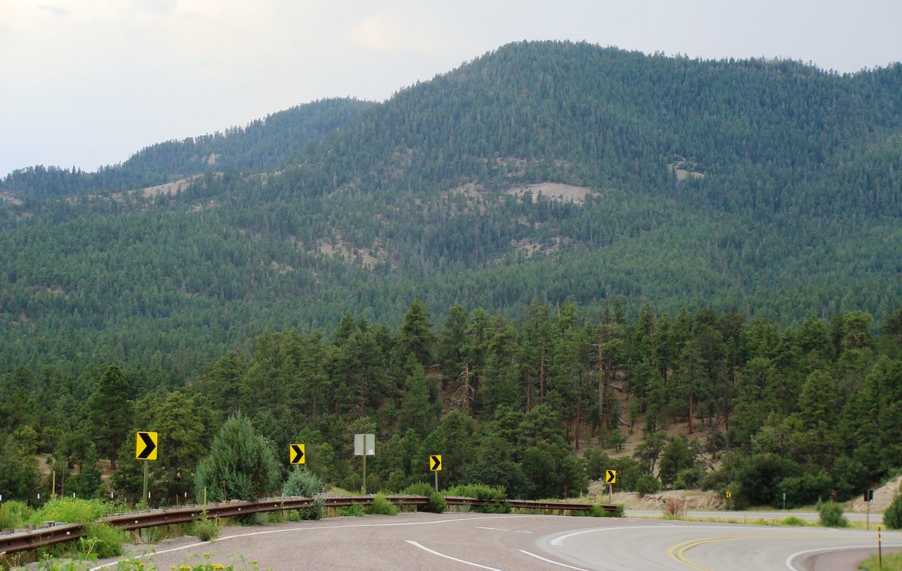 A forested landscape of pines and hills in the Apache-Sitgreaves National Forest, Arizona.