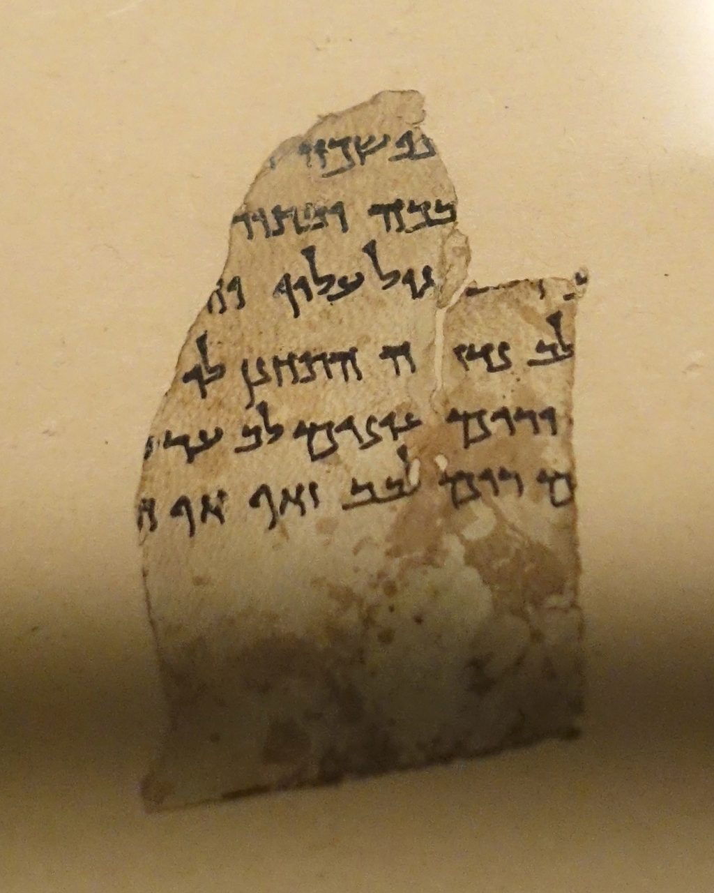 A Dead Sea Scroll parchment fragment bearing Hebrew text, from Qumran Cave IV, on display at the Oriental Institute Museum