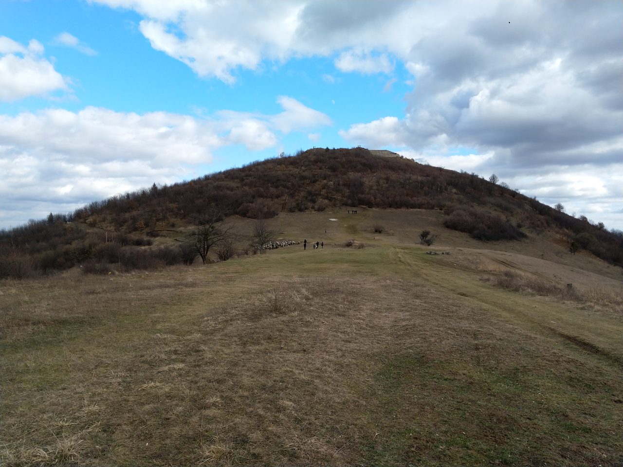 A broad grassy plateau and worn path leading toward the brush-covered summit of Visočica Hill, where the medieval Old Town of Visoki stands; no masonry is visible at this distance