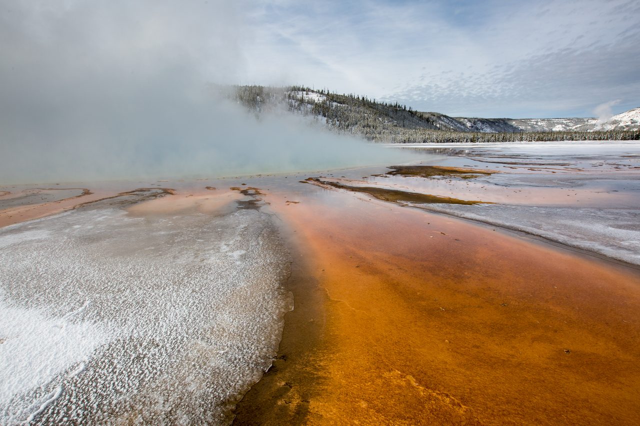 Vividly colored thermophile microbial mats ringing the edge of Grand Prismatic Spring in Yellowstone National Park.