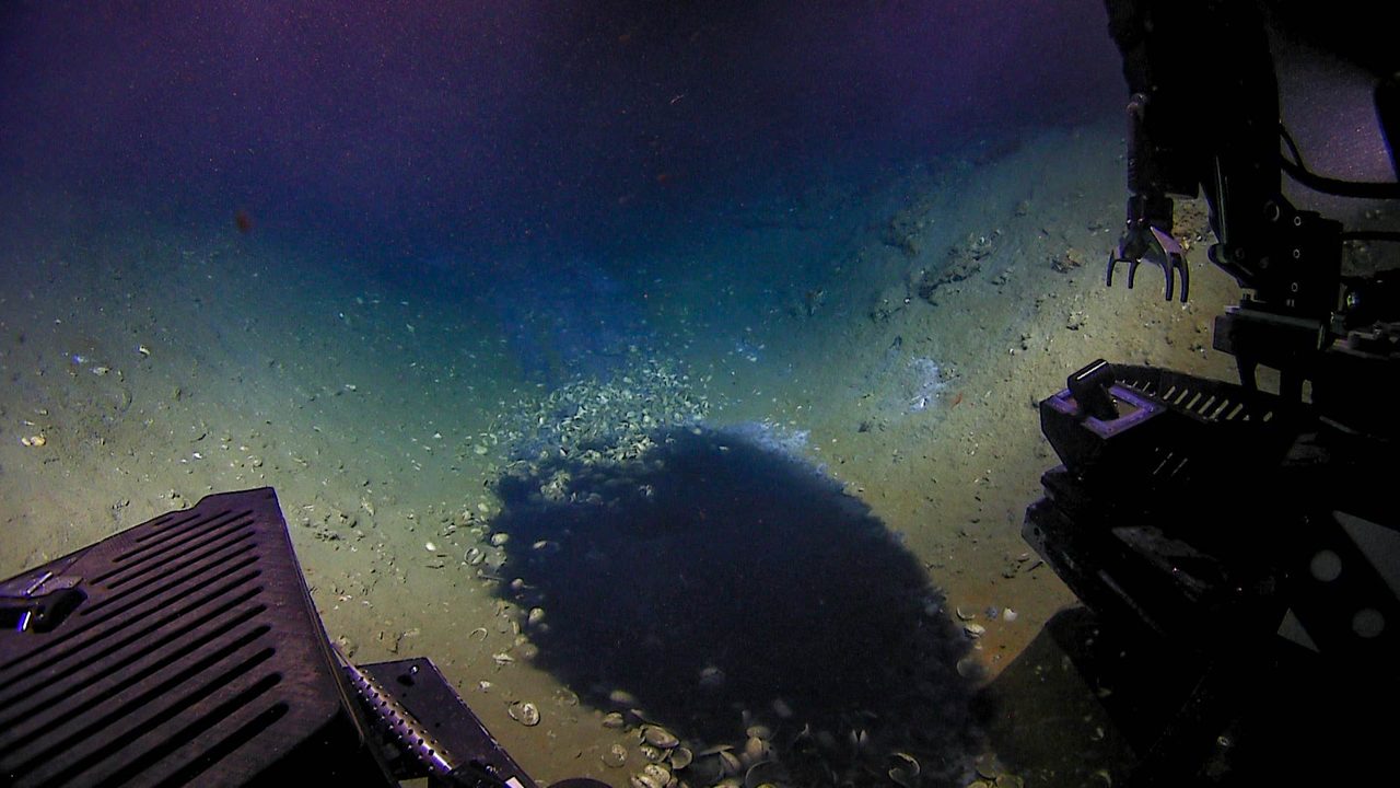 A small brine pool on the deep seafloor of the Gulf of Mexico, its dense salt-brine surface visibly distinct from the surrounding sediment, photographed by a remotely operated vehicle.