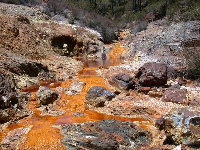 The deep red, iron-stained acidic water of the Rio Tinto river in Spain.