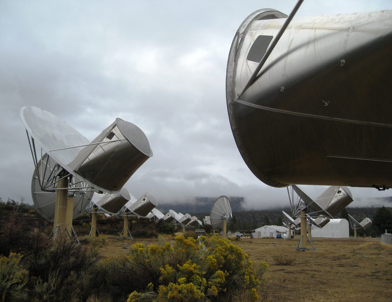 Dishes of the Allen Telescope Array on dry brush ground under an overcast sky, the nearest antenna running off the top and right edges of the frame.