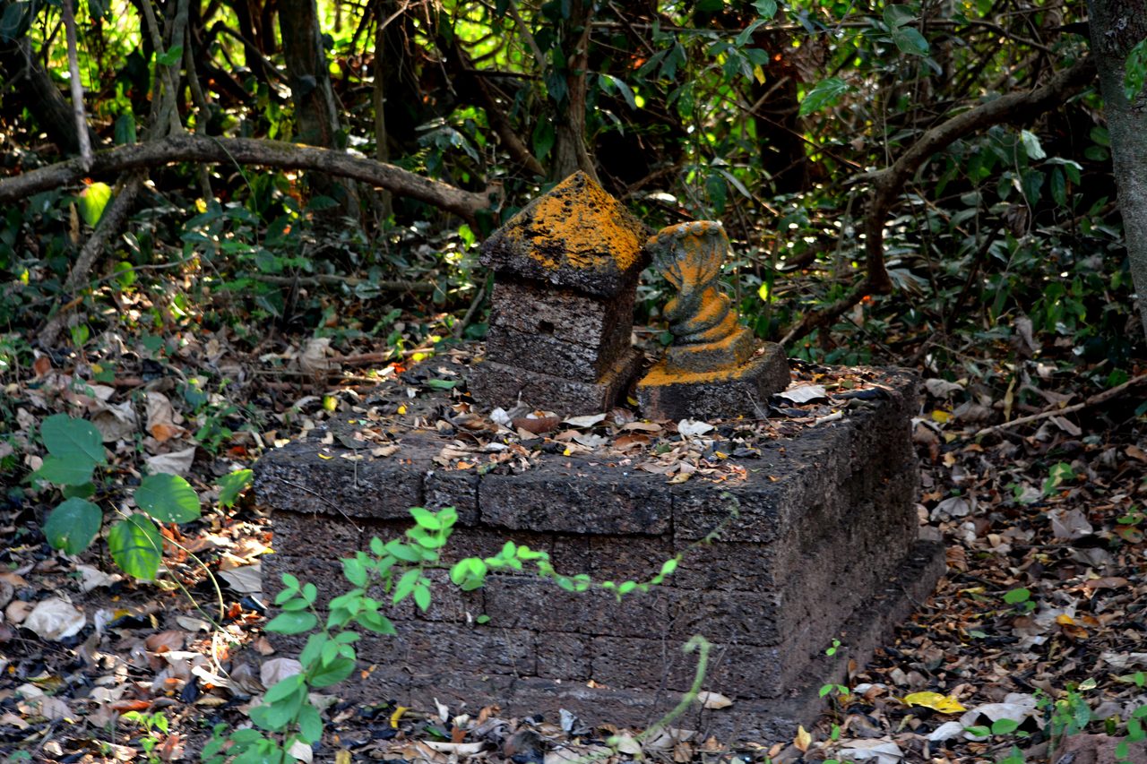 A sarpa kavu (serpent grove) with naga stones, Kerala, India