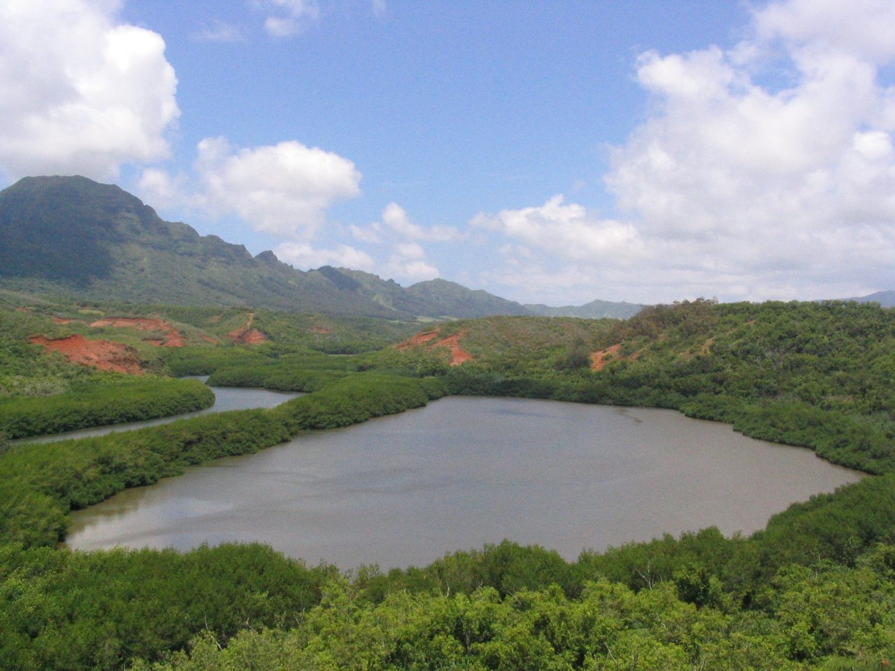 The Alekoko fishpond on Kaua'i, seen across mangrove-lined water toward green mountains