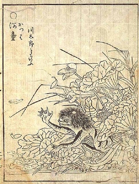 Toriyama Sekien's woodblock print of a kappa, a squat river creature crouching among broad water plants