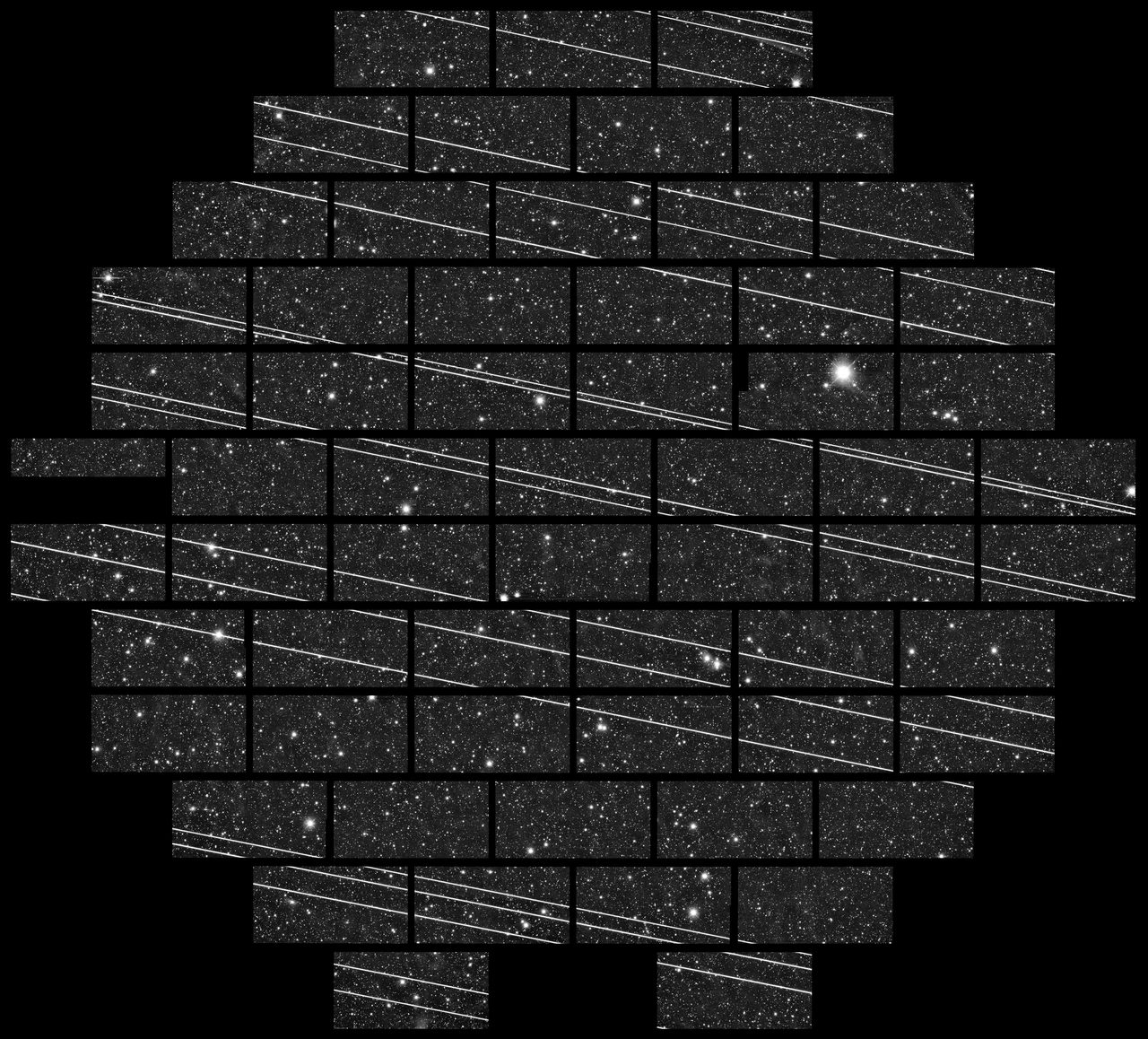 A telescope mosaic showing dozens of bright parallel streaks left by Starlink satellites crossing a starfield