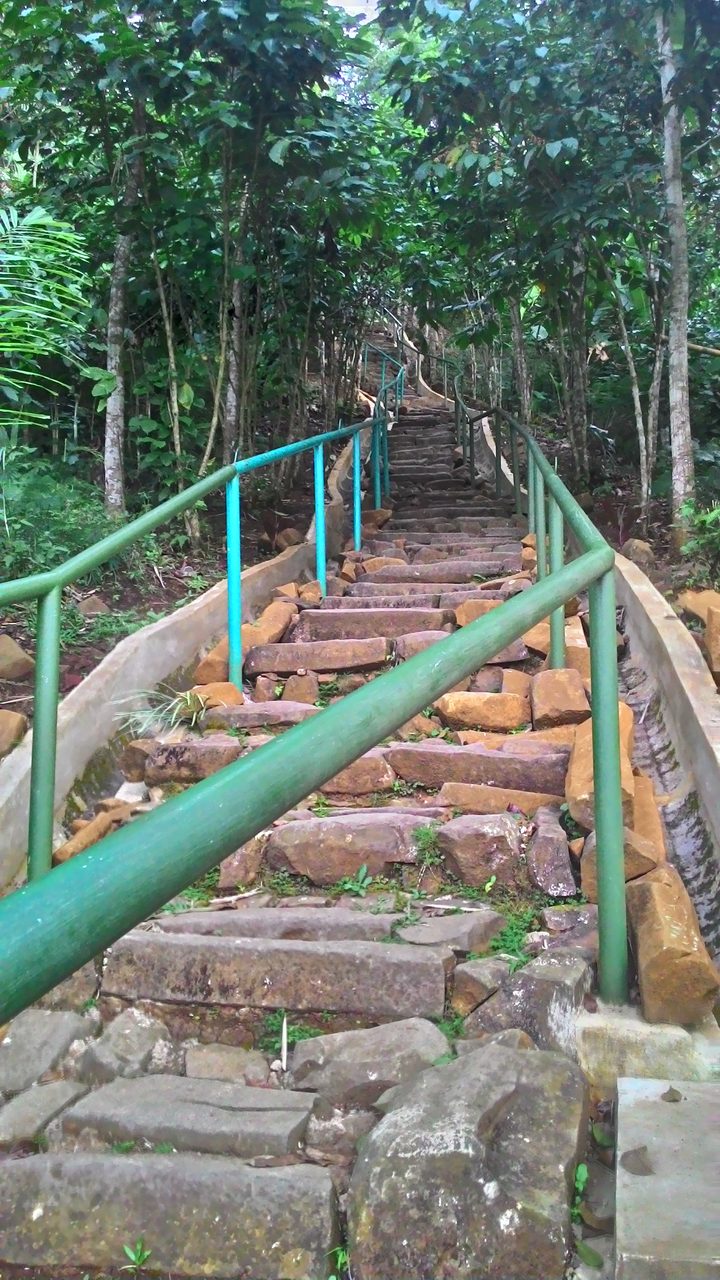 A steep stone stairway of columnar rock steps climbing the hillside at Gunung Padang, flanked on both sides by green-painted metal handrails, with dense vegetation alongside