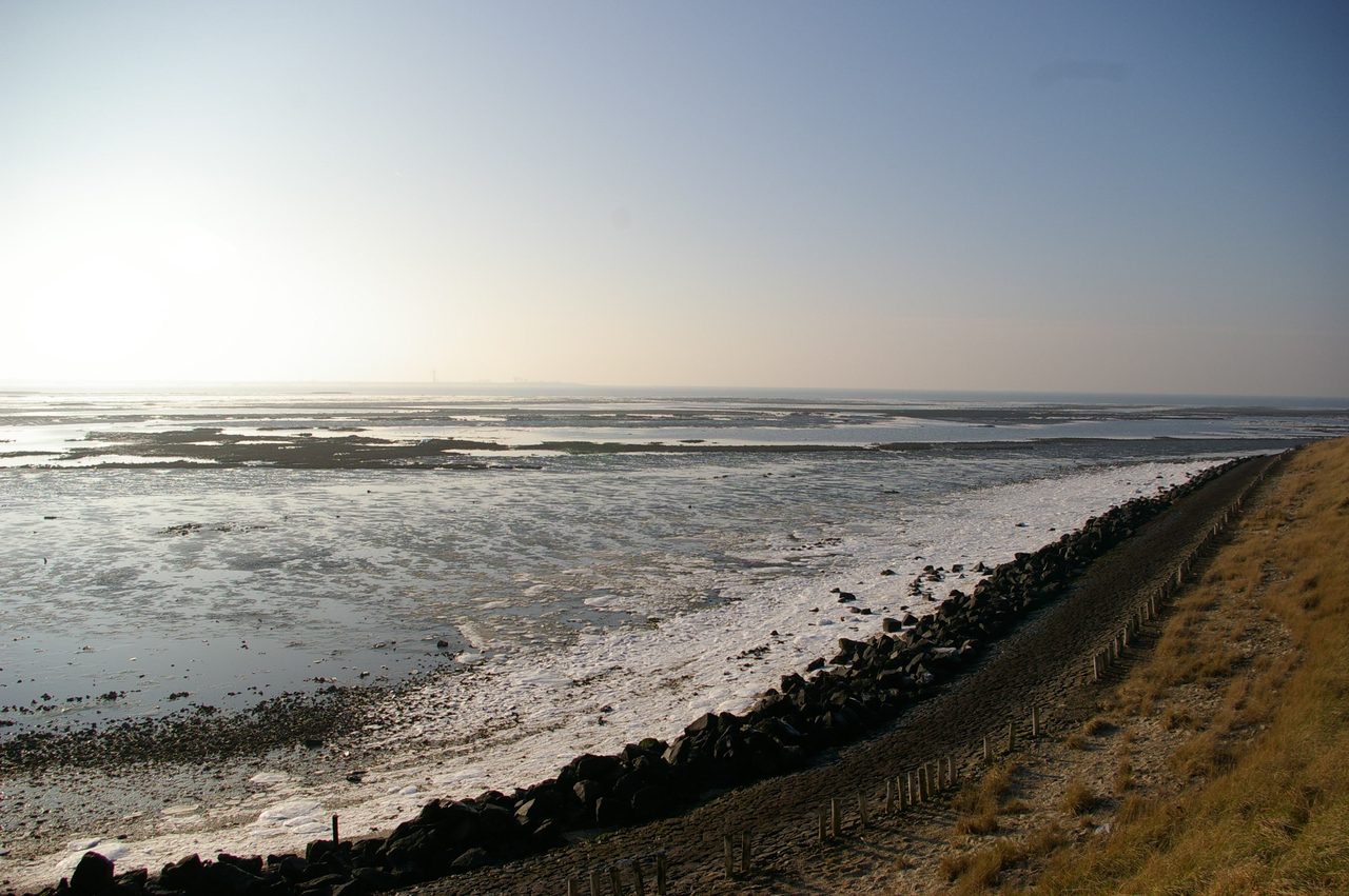 A quiet stretch of the Oosterschelde near Viane in Zeeland, the tidal estuary where Denaerde says the encounter began