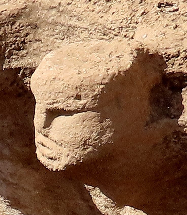 A carved human head emerging from the bedrock wall inside Structure AB at Karahan Tepe