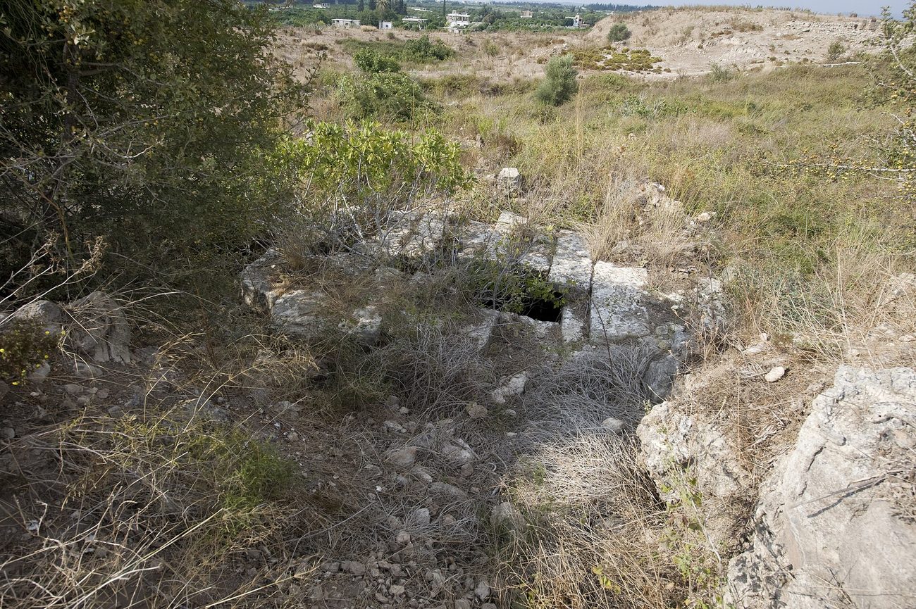 Overgrown stone masonry and scrub on the tell at Ras Shamra, with a modern village beyond