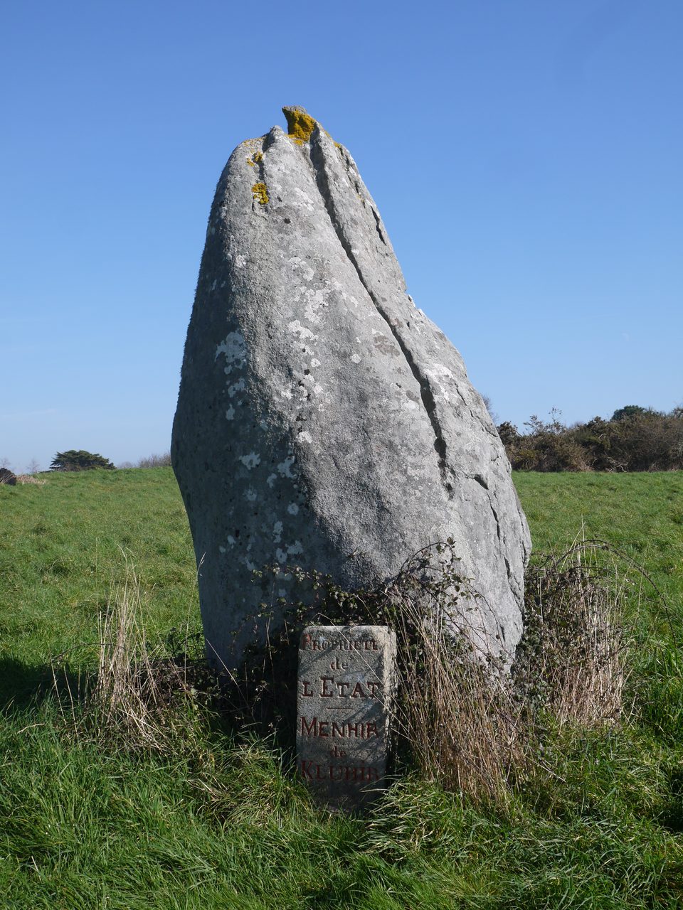 A close view of a single tall granite menhir standing in a field at Kerluhir near Carnac, Brittany, its coarse grain visible