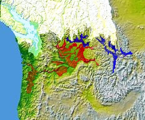 Map of Glacial Lake Missoula and the areas inundated by the Missoula floods