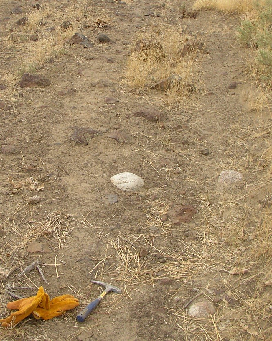 A cluster of glacial erratic boulders on Red Mountain, mid-Columbia region