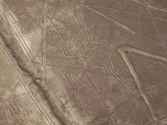 The Nazca spider geoglyph, a single continuous line forming a 46 meter spider on the desert floor