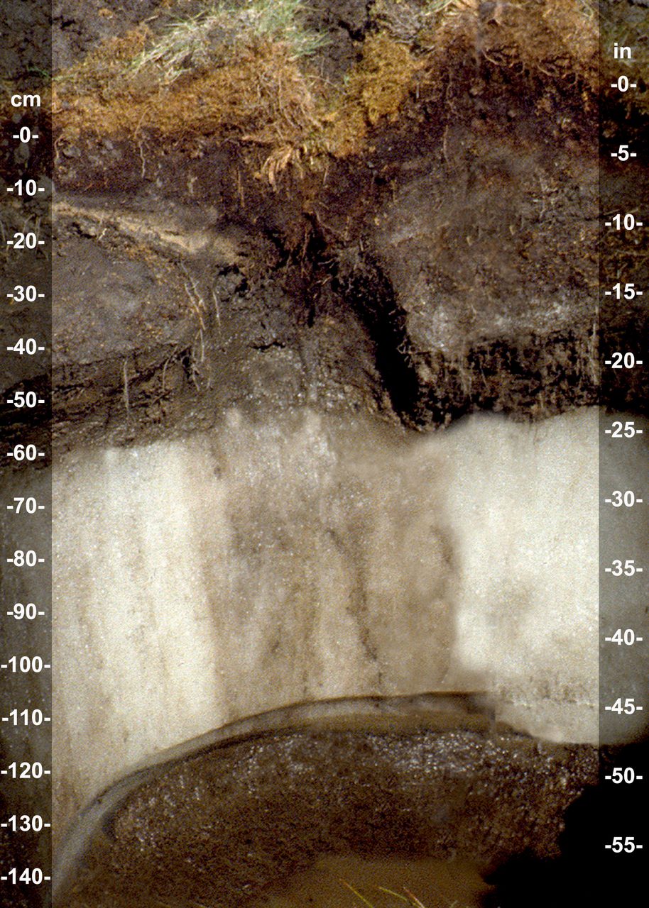 A vertical wedge of clear ground ice exposed in a cut face of frozen brown soil in Alaska, showing the ice-wedge structure that underlies patterned tundra.