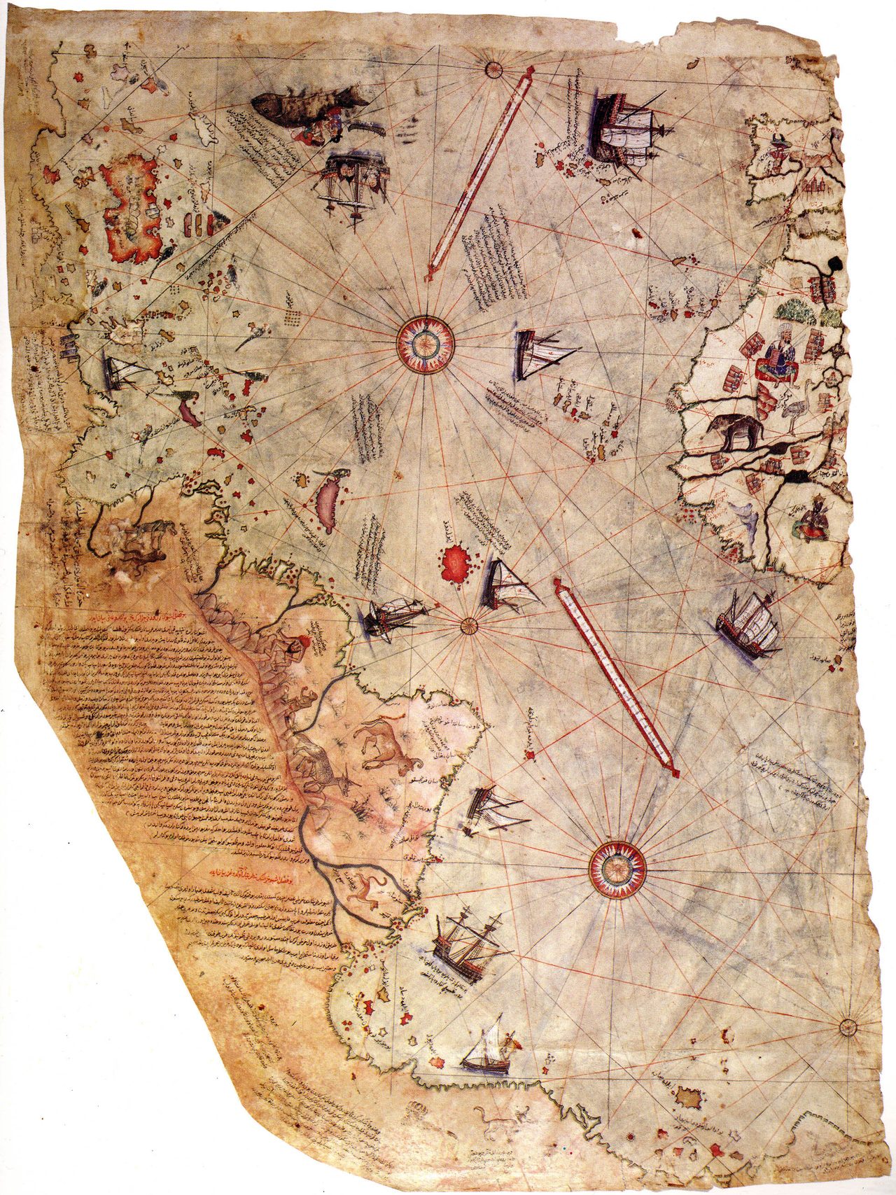 The surviving fragment of the 1513 Piri Reis world map, drawn on gazelle parchment