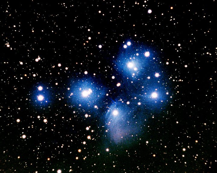 Wide-field telescope image of the Pleiades open star cluster (Messier 45, NGC 1432), showing dozens of its brightest blue-white stars against the night sky