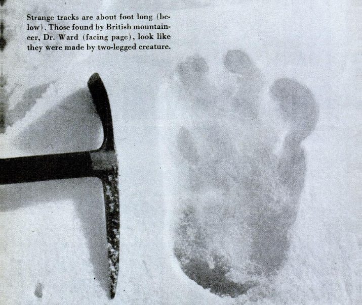 Eric Shipton's 1951 photograph of an alleged yeti footprint on the Menlung Glacier