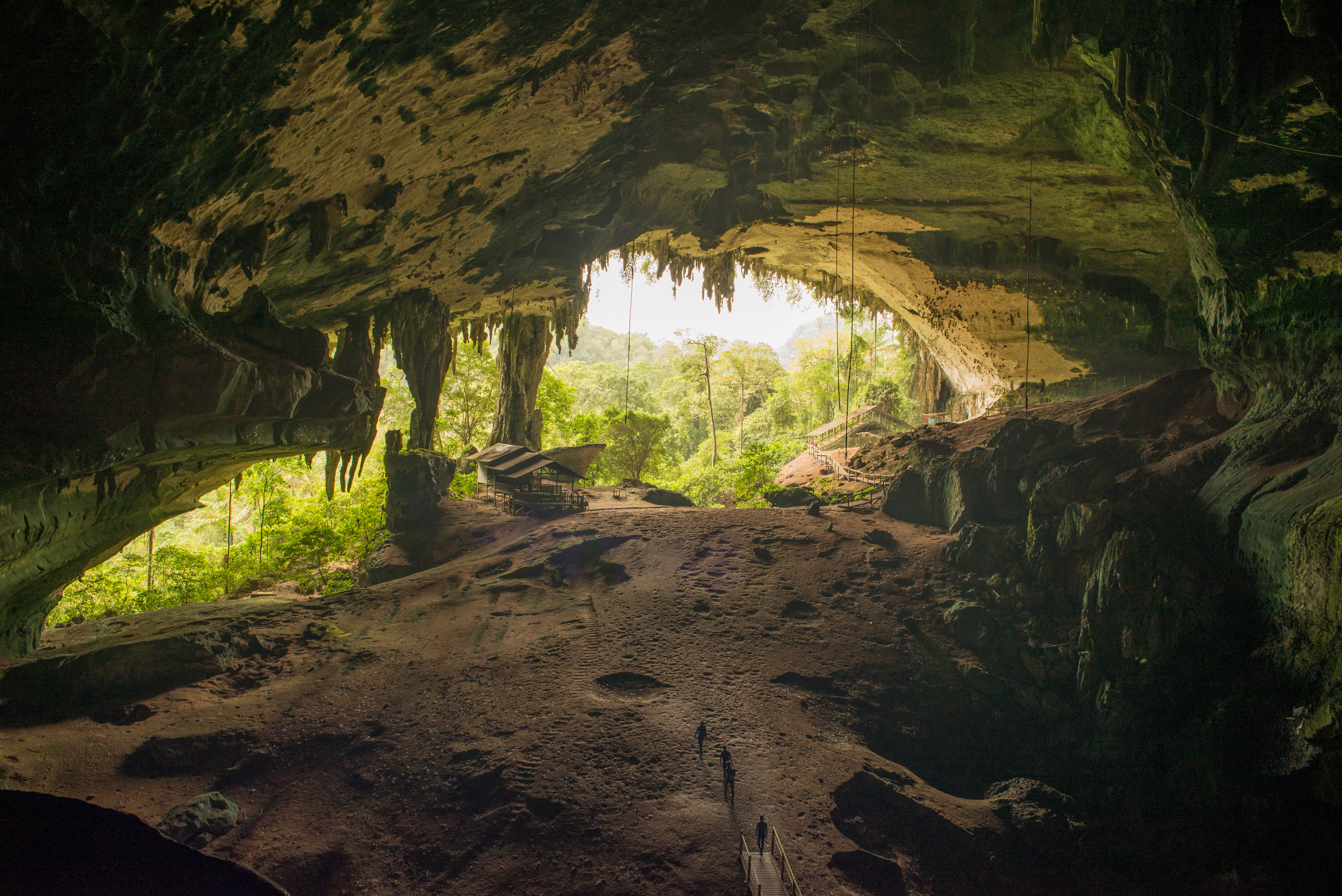Entrance of the Great Cave at Niah National Park, Sarawak, Borneo