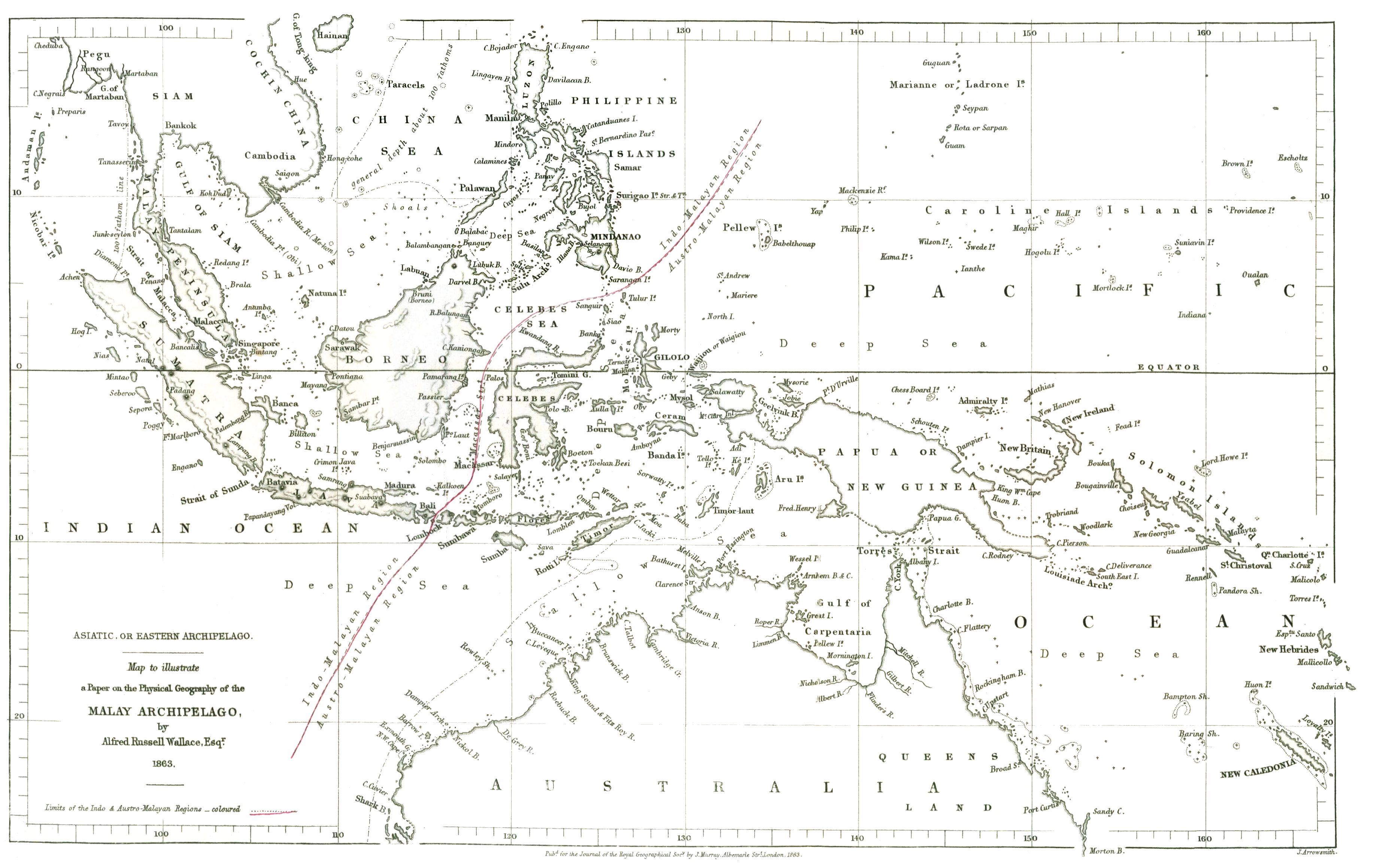Alfred Russel Wallace's original 1863 drawing of the Asian-Australasian faunal division in the Malay Archipelago