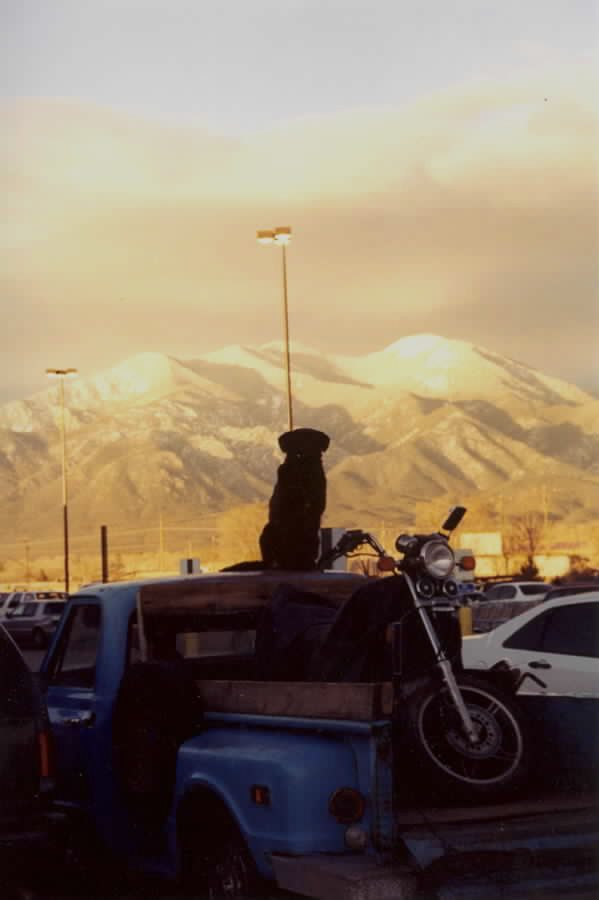 A parking lot scene under warm evening light with a dog sitting on a pickup truck, snow-capped mountains near Taos, New Mexico rising in the background