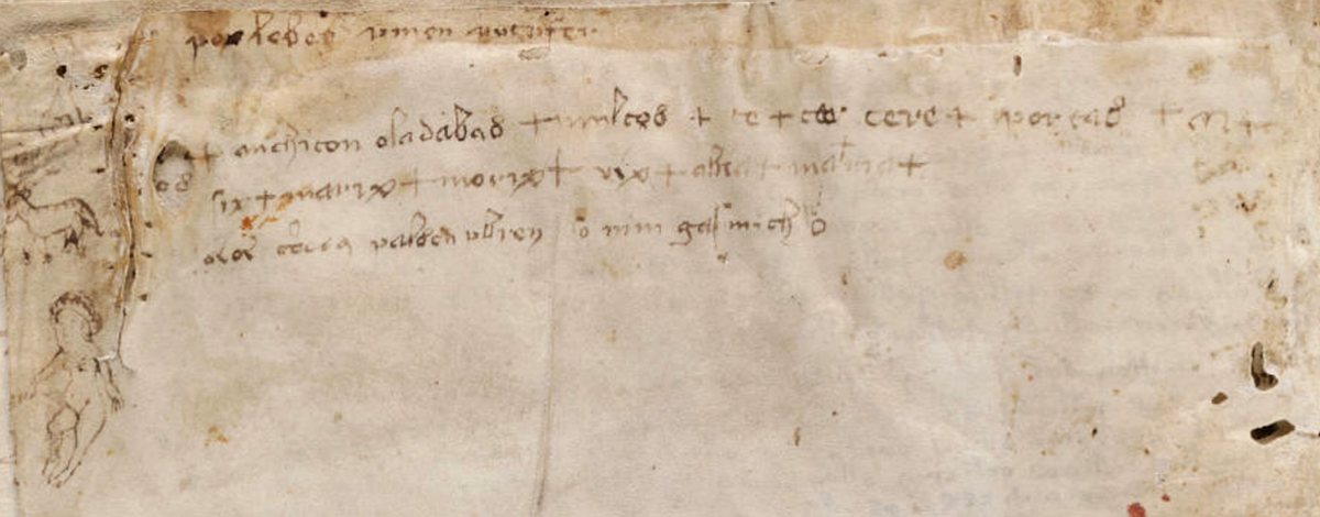Marginalia on the final page of the Voynich Manuscript, written in a different hand and largely in ordinary letterforms