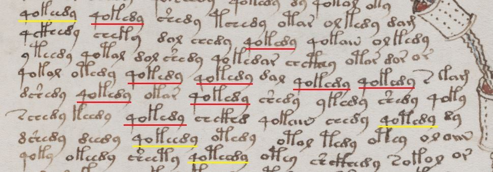 A passage of Voynich script with repeated word-like sequences highlighted