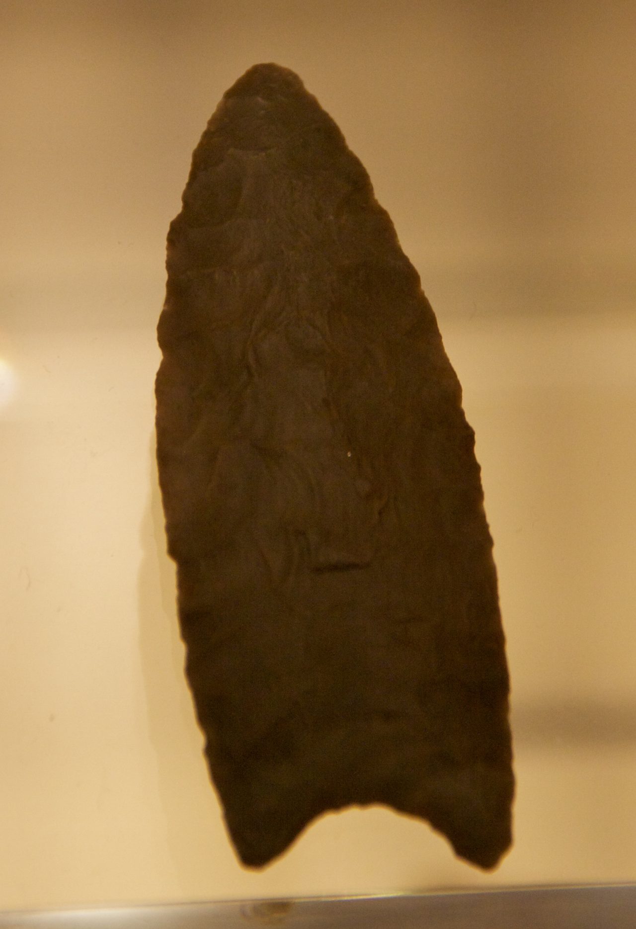 A Clovis fluted spear point in the British Museum's collection