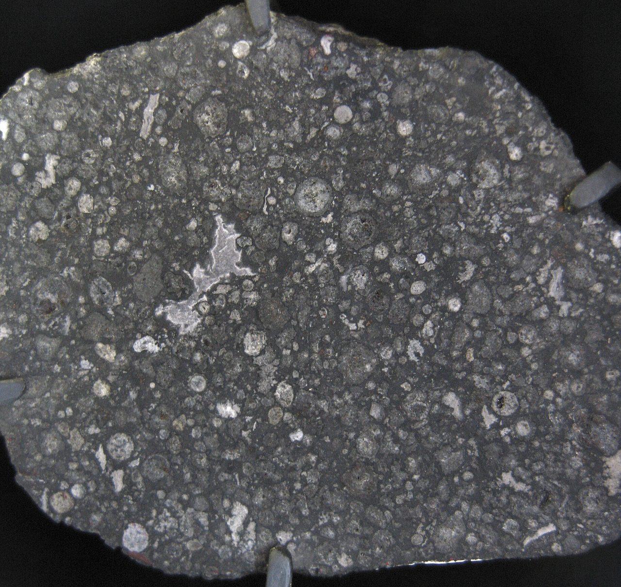 A polished cross-section of a dark stony meteorite speckled with small round pale chondrules