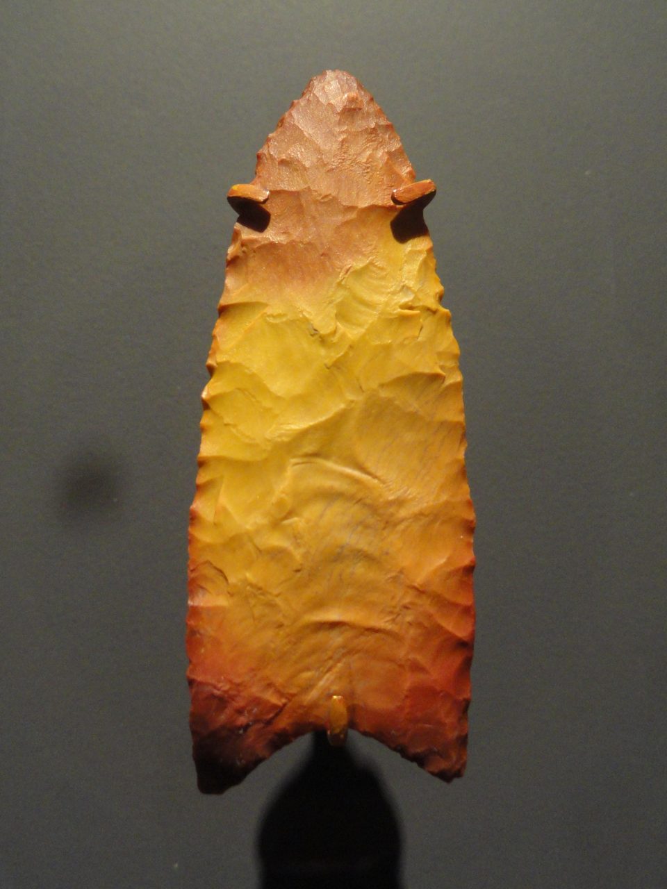 A Clovis fluted stone point, the distinctive tool technology of the Clovis culture that disappears from the archaeological record at the Younger Dryas boundary